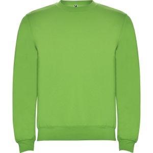 CLASSICA - ROUNDNECK - BRUSHED FLEECE-Oasis Green-3/4 yrs